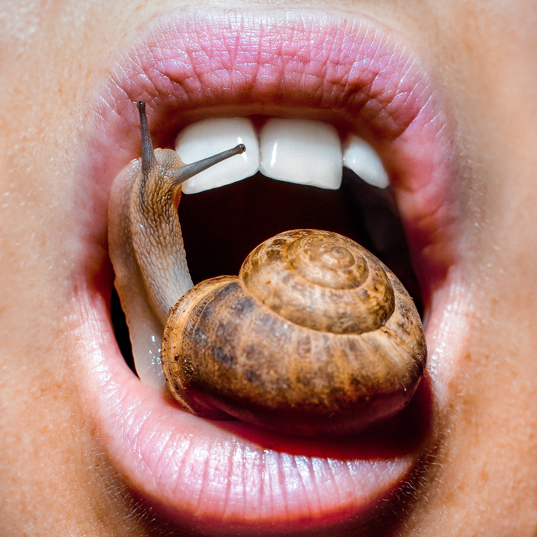 Lips Pillow Talk: Snail