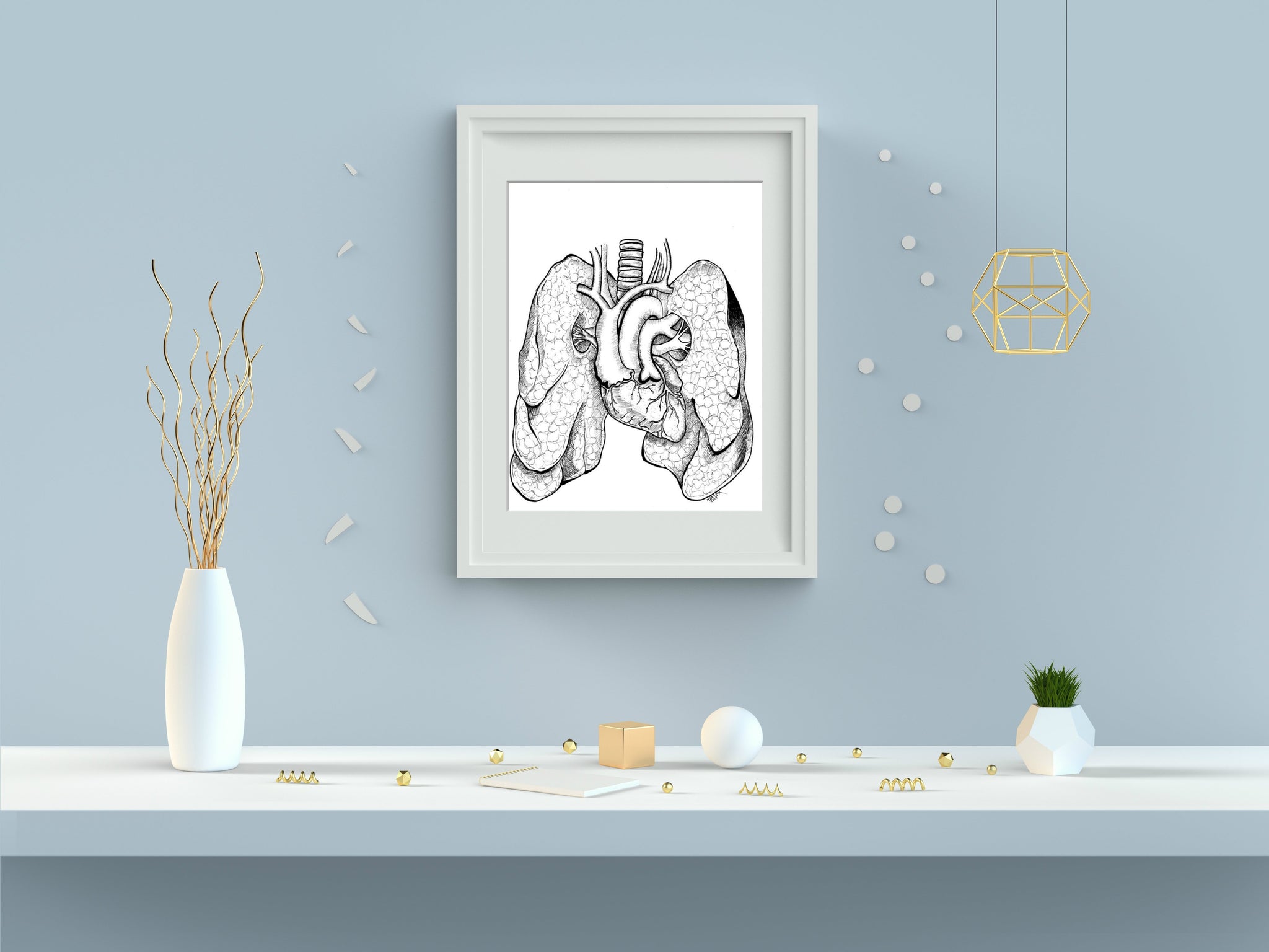 Anatomical Anomalies