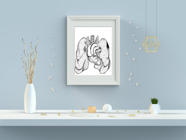 Anatomical Anomalies