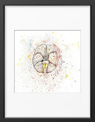 Anatomical Brain Splatter