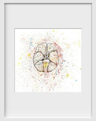 Anatomical Brain Splatter