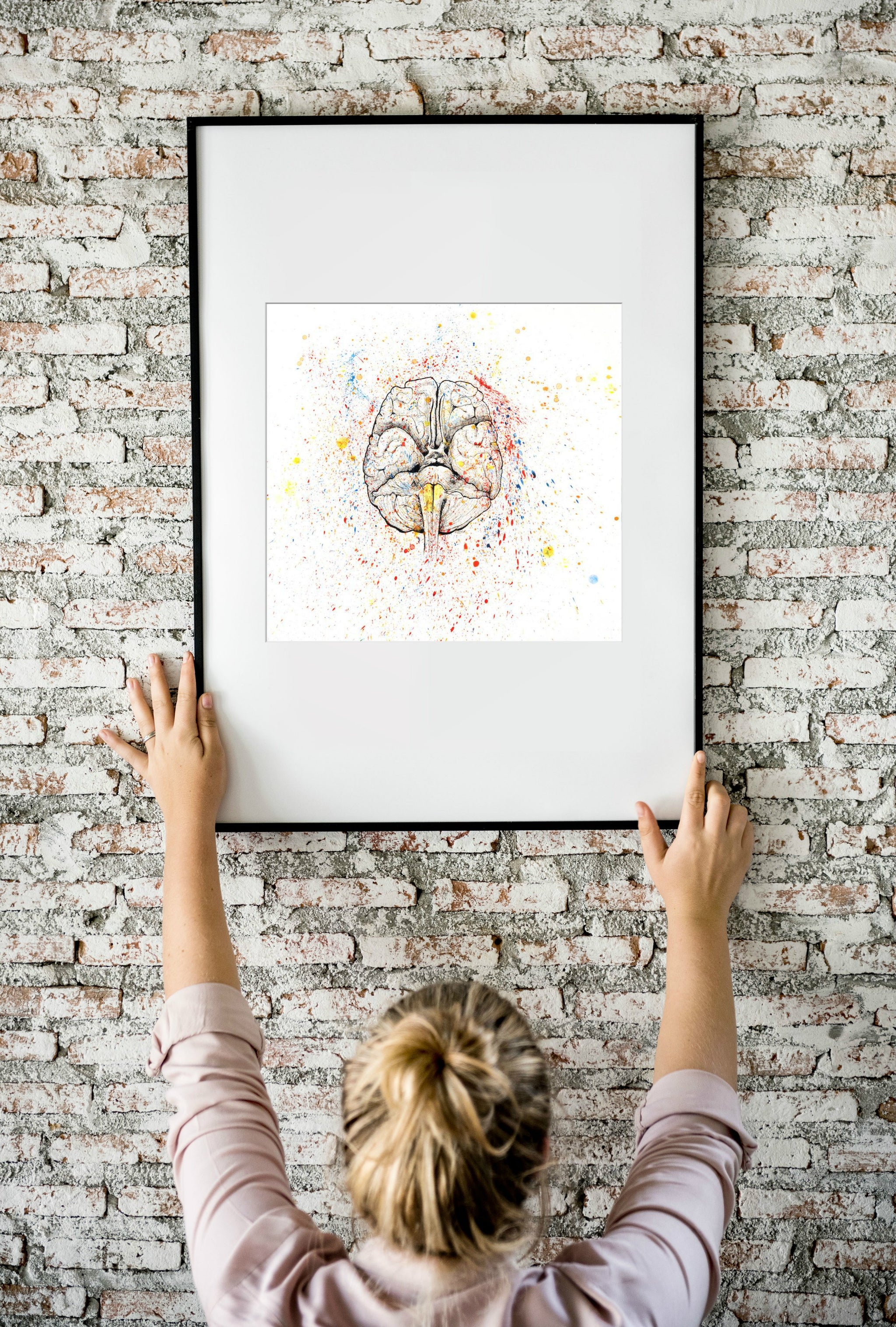 Anatomical Brain Splatter