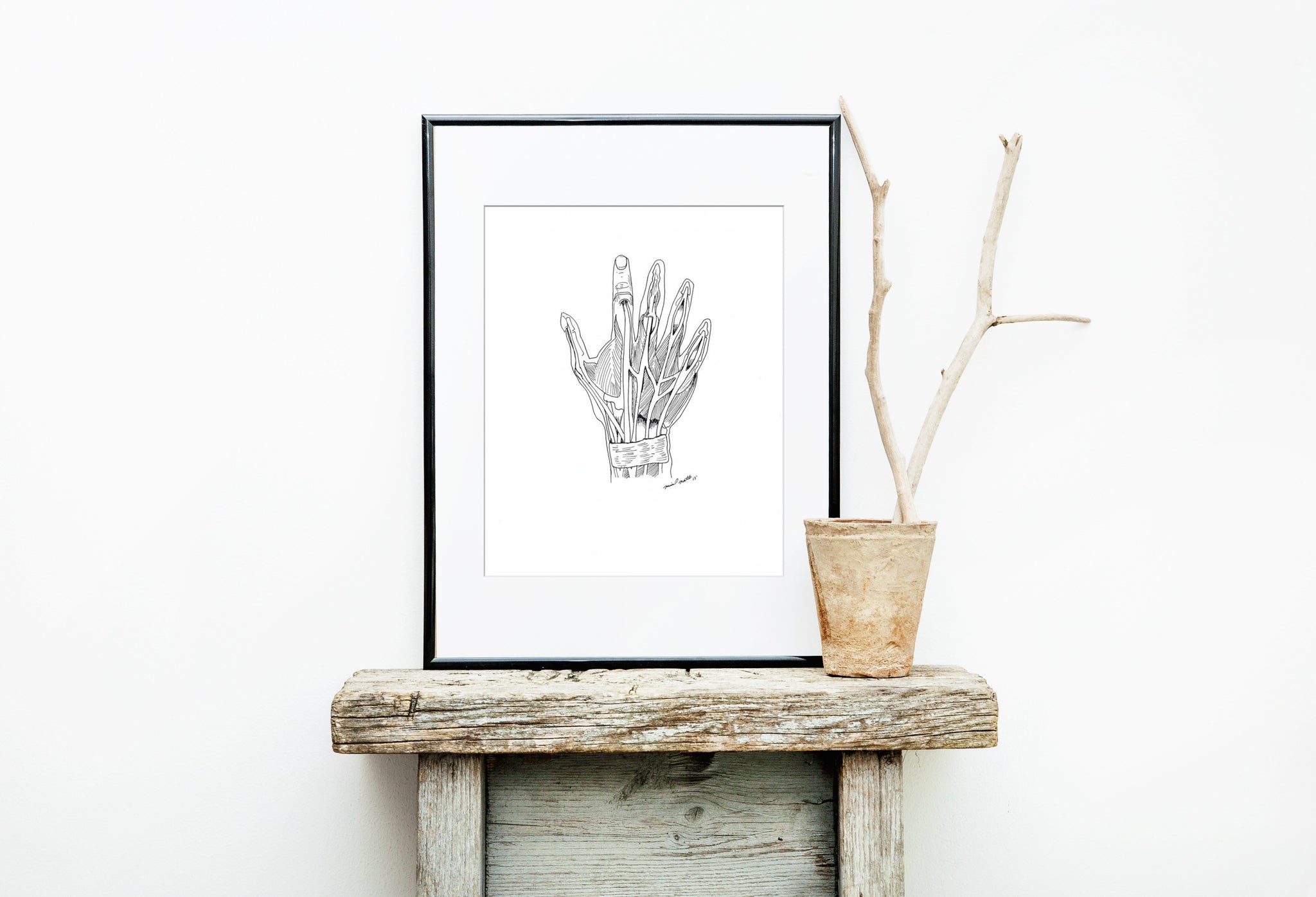 Anatomical Hand