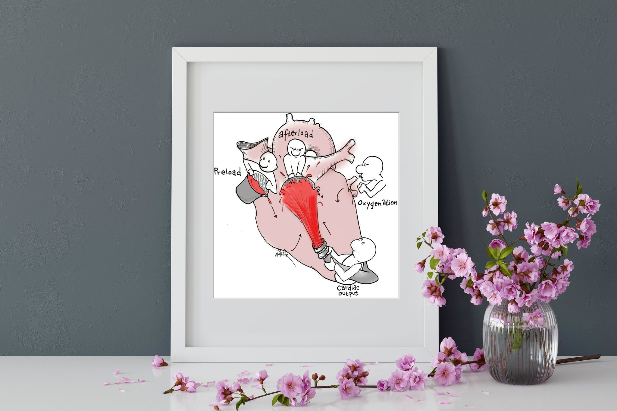 Cardiac Physiology 2