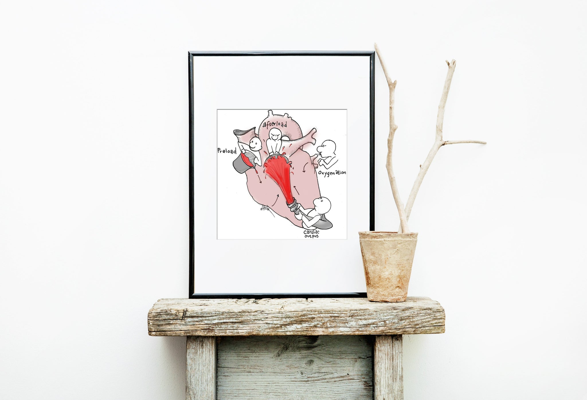 Cardiac Physiology 2