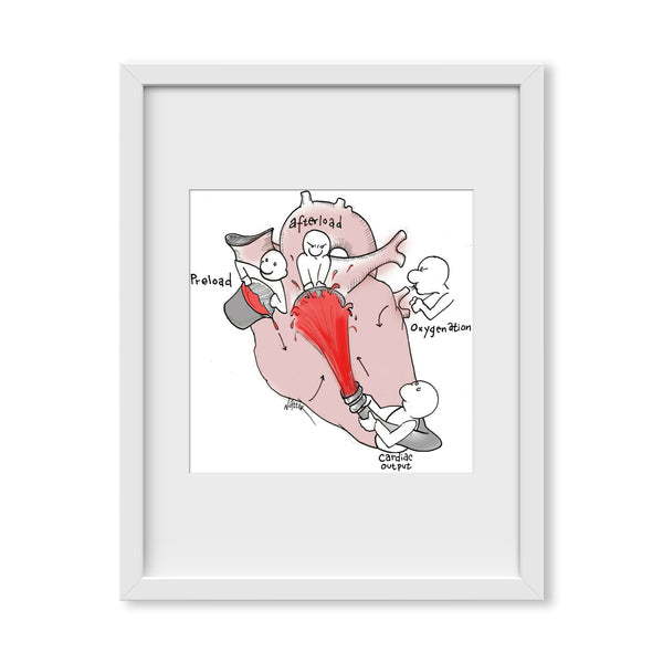 Cardiac Physiology 2