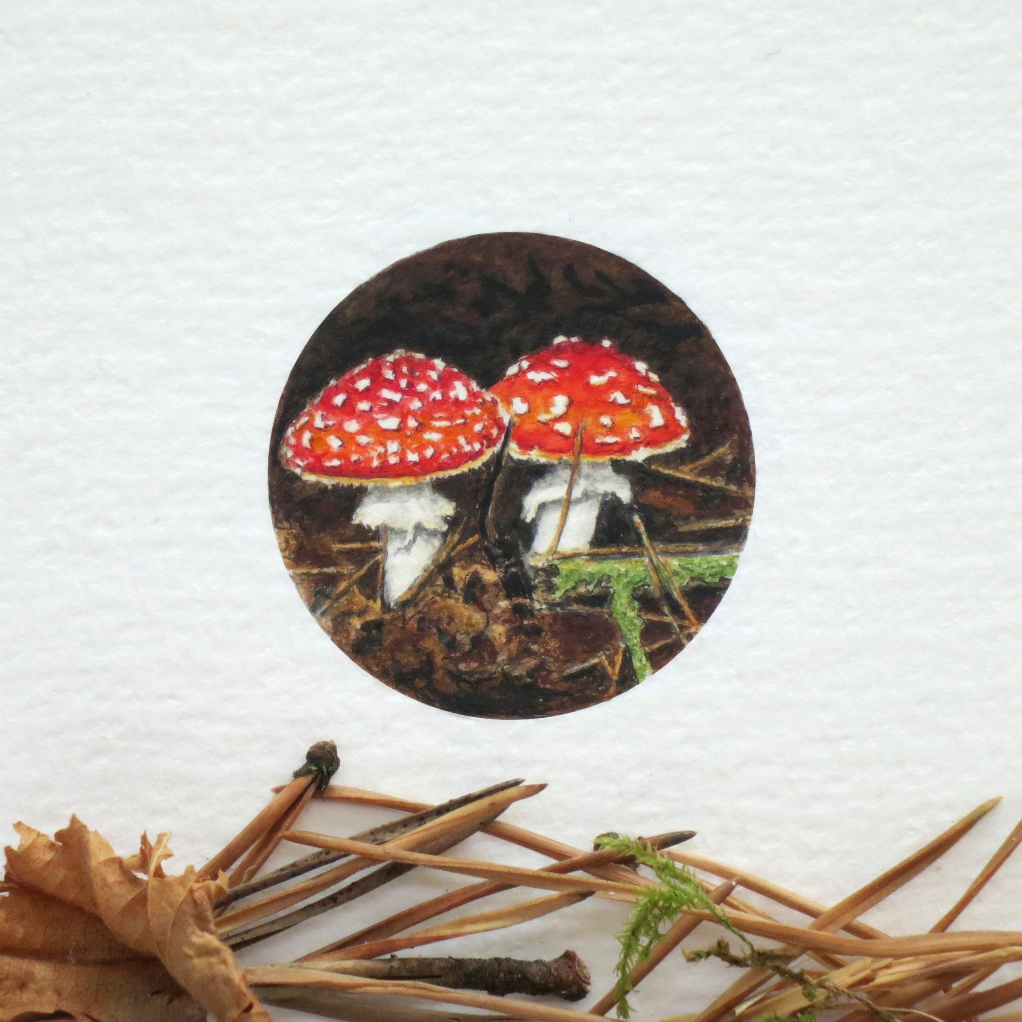 Fly Agaric