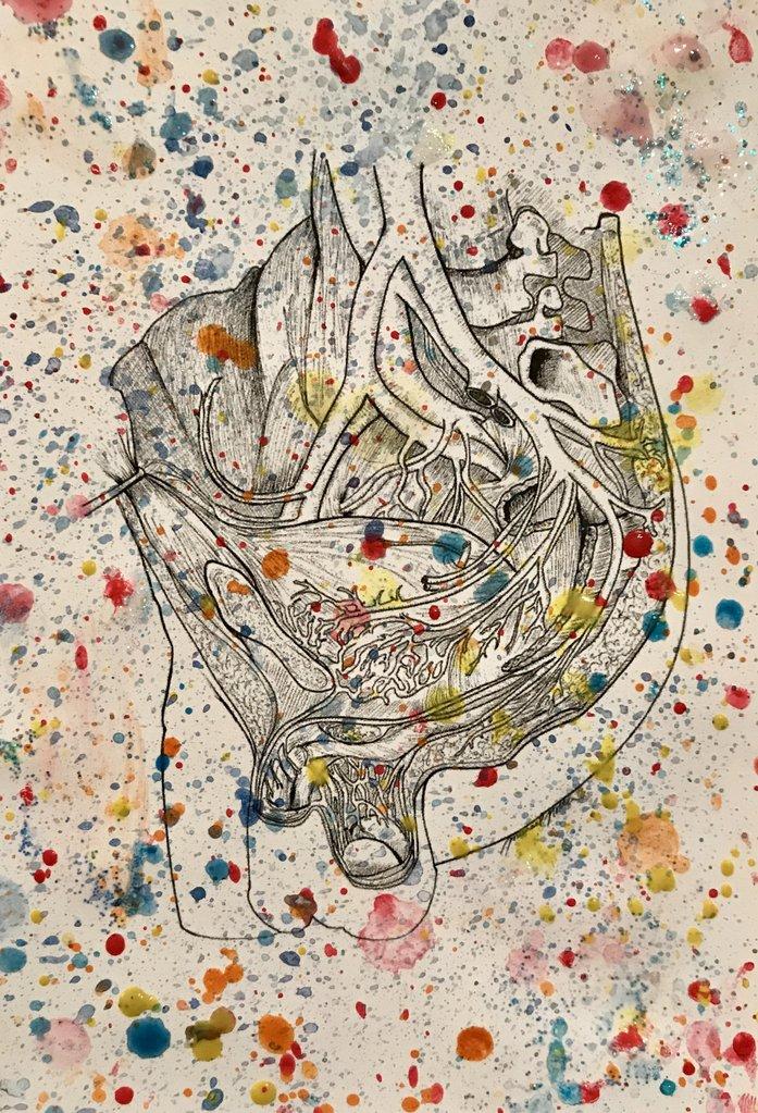 Splatter Anatomical Urology