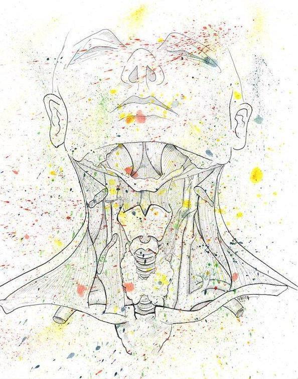 Anatomical Head and Neck Splatter