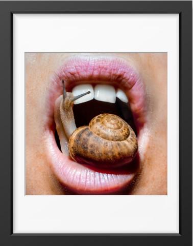 Lips Pillow Talk: Snail