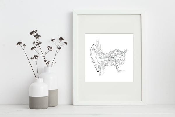 Middle Ear Black and White