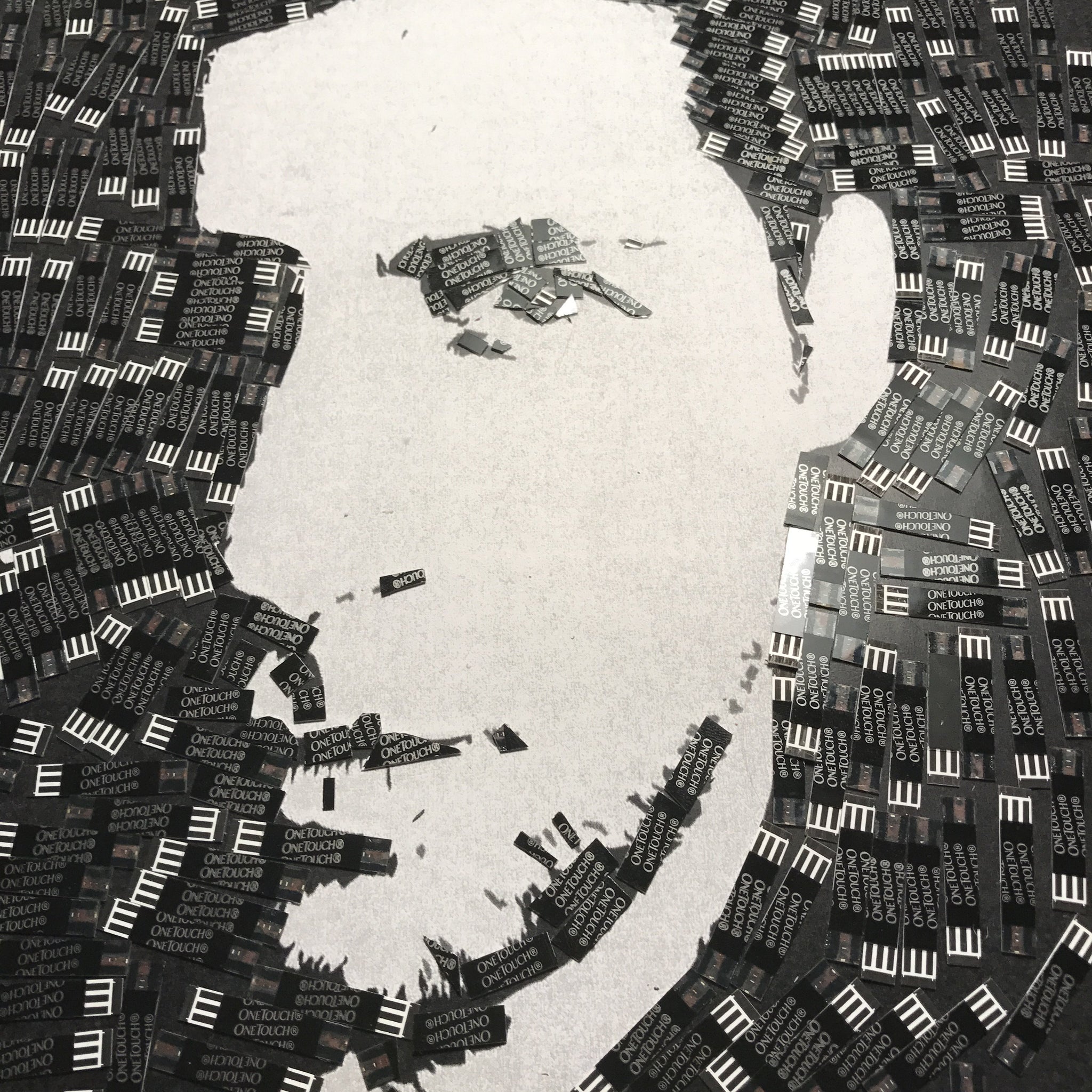 Natter Self Portrait in Diabetic Test Strips