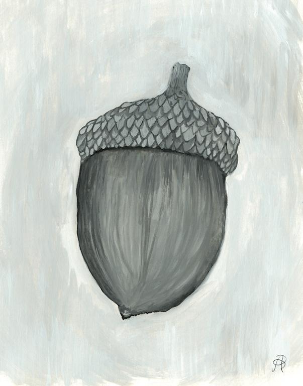Acorn