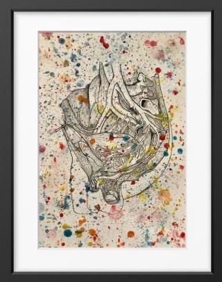 Splatter Anatomical Urology