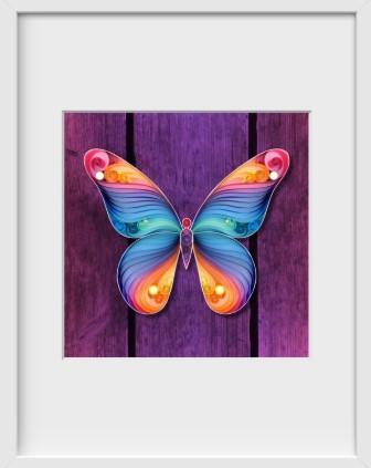 Spread Your Wings and Fly, Butterfly