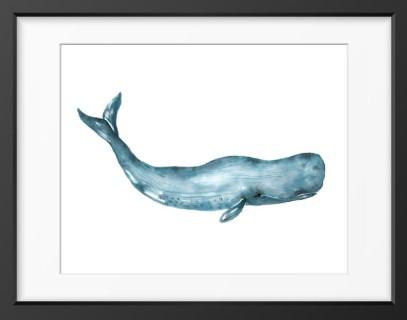 Whale