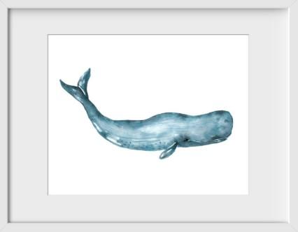 Whale