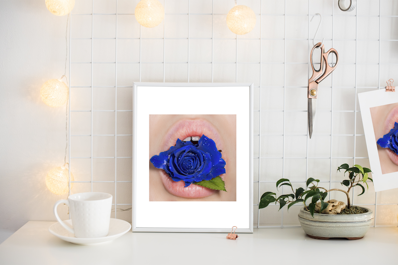 Pure Blue Rose