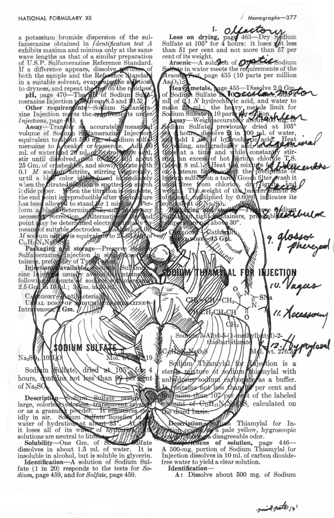 Anatomical Cranial Nerves
