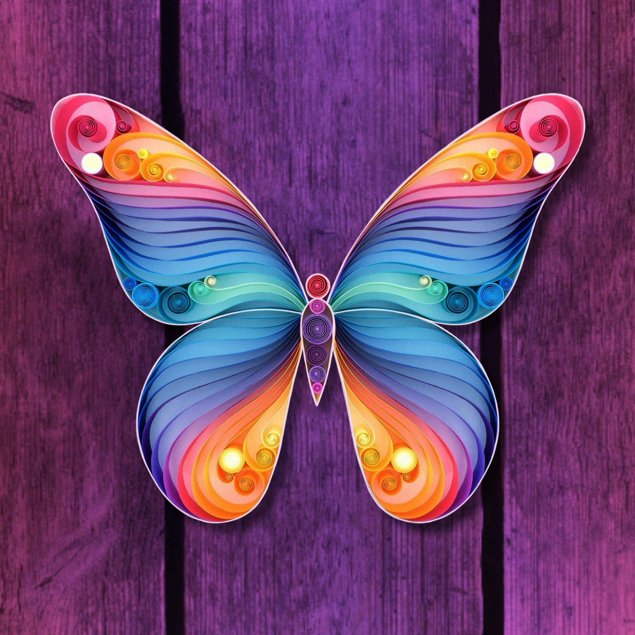 Spread Your Wings and Fly, Butterfly